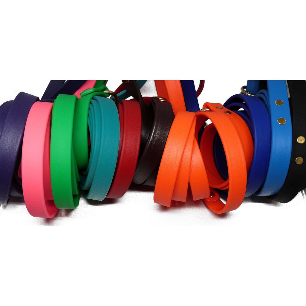 Dog Leash I22135