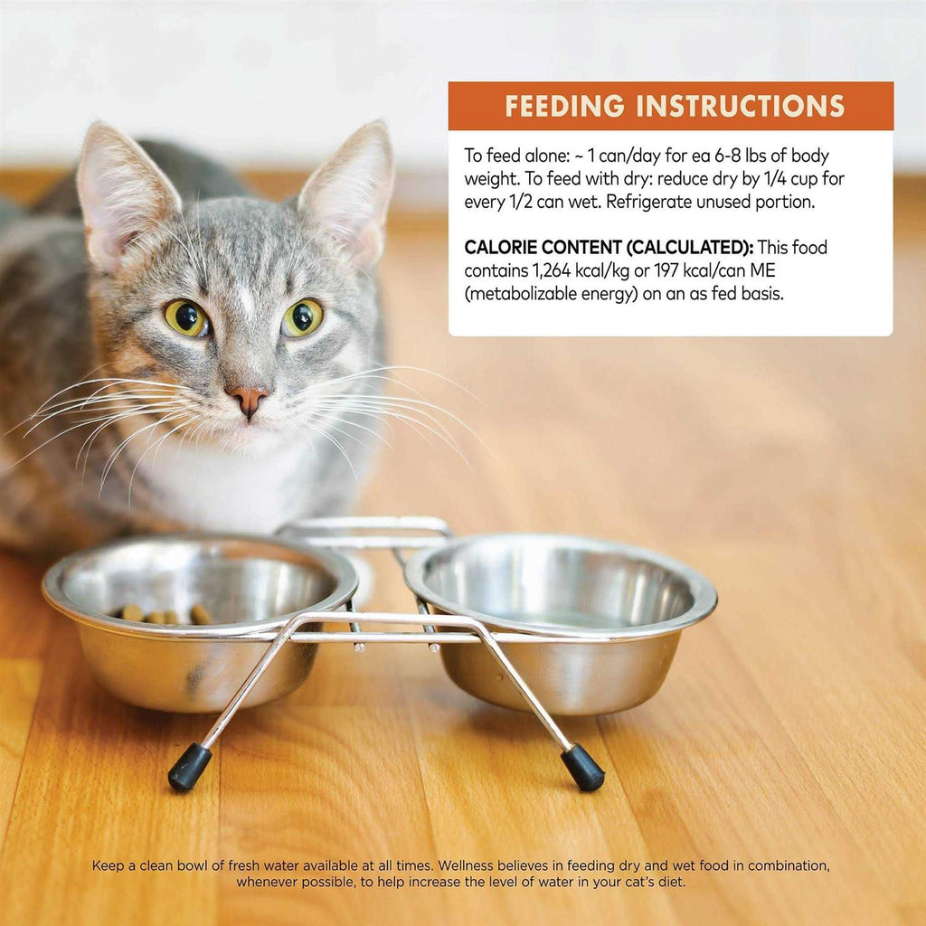 Cat Food O6665