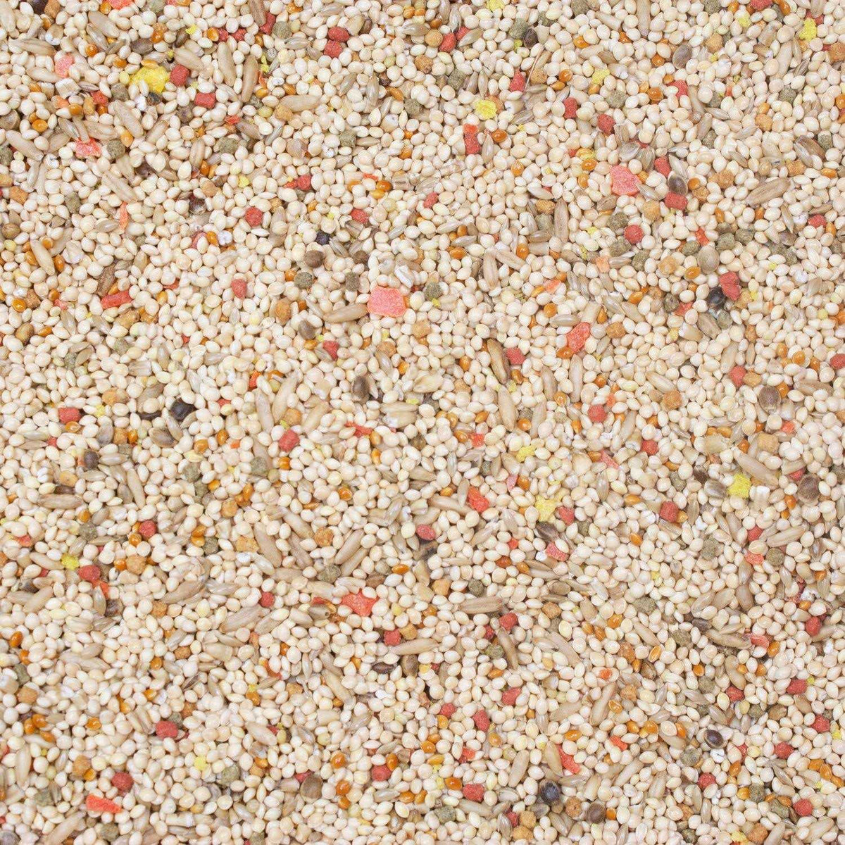 Parakeet Food M8128
