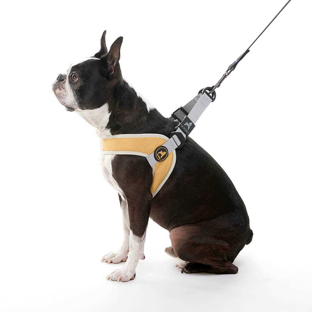Step-In Dog Harness X6765