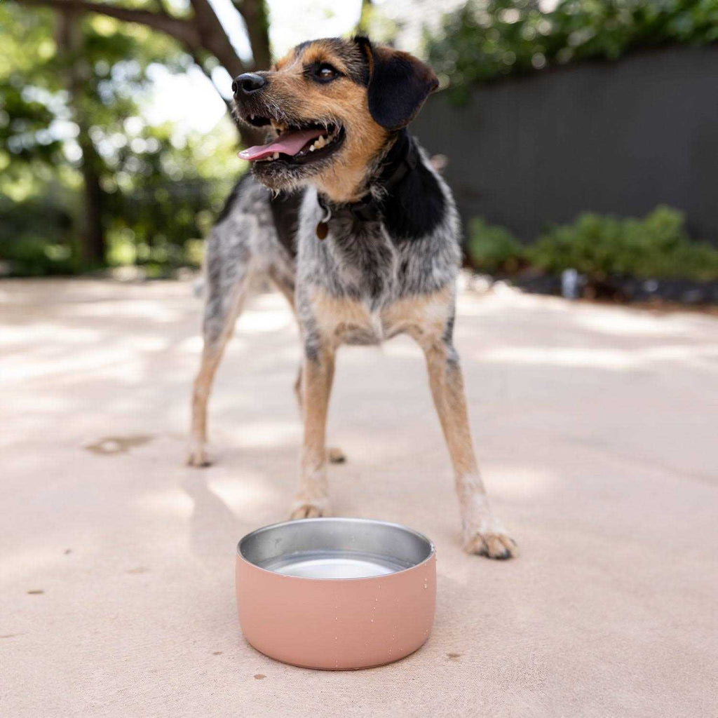 Stainless Steel Pet Water Bowl I3019