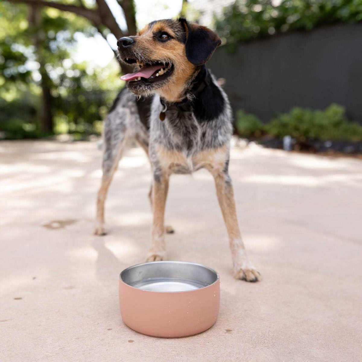 Stainless Steel Pet Water Bowl I3019
