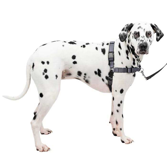 Easy Walk Harness W8074