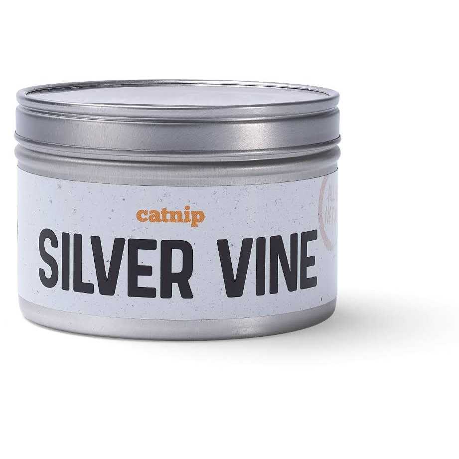 Silver Vine Catnip Q781991