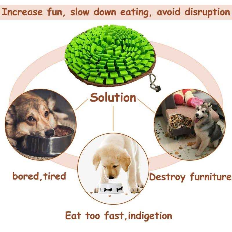 Pet Snuffle Mat M435