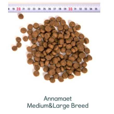 Medium & Large Breed Dry Dog Food K958630