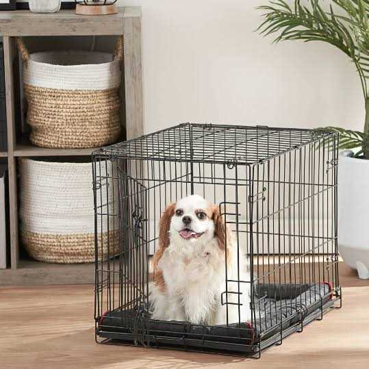 Folding Dog Crate with Divider R224780