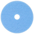 Sky Blue 18 in Burnish Pad W166