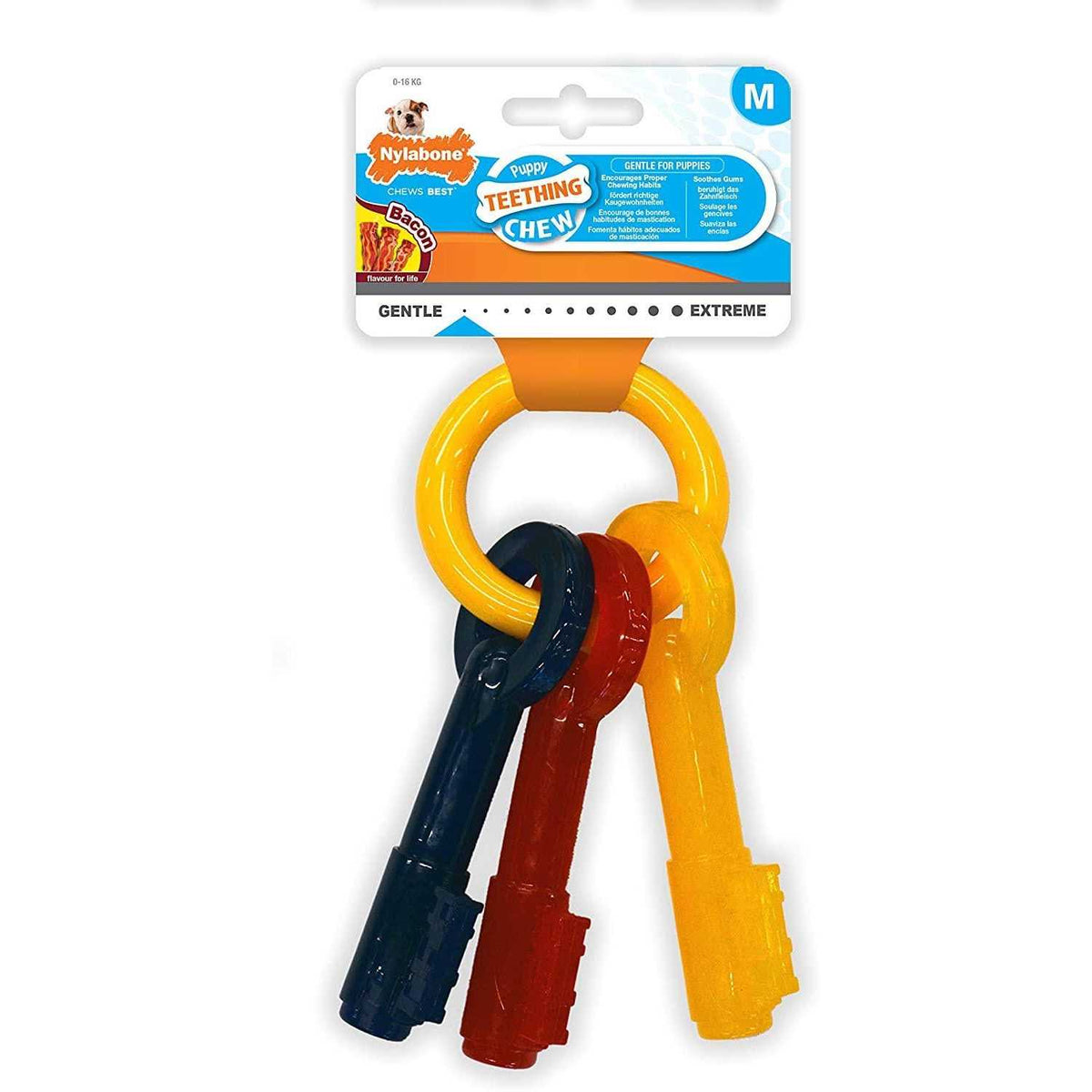Puppy Chew Teething Keys Y81056