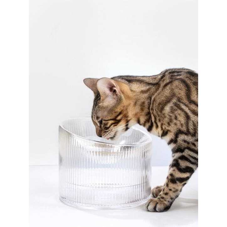 Handmade Glass Cat Bowl S8446