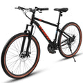 24 inch Pink Mountain Bike with Dual Disc Brakes U905846