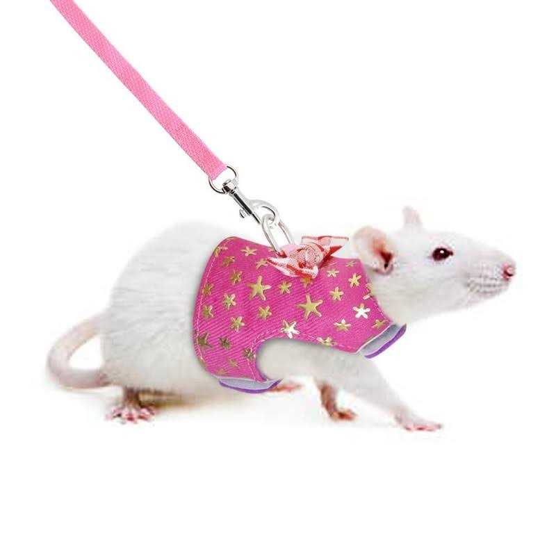 Small Pet Outdoor Walking Harness Vest and Leash Set H917115