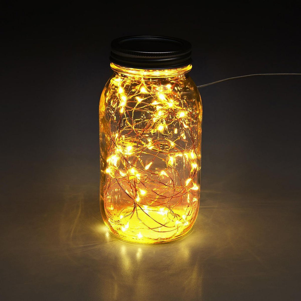 Warm White Copper Wire Lights with Remote W740099