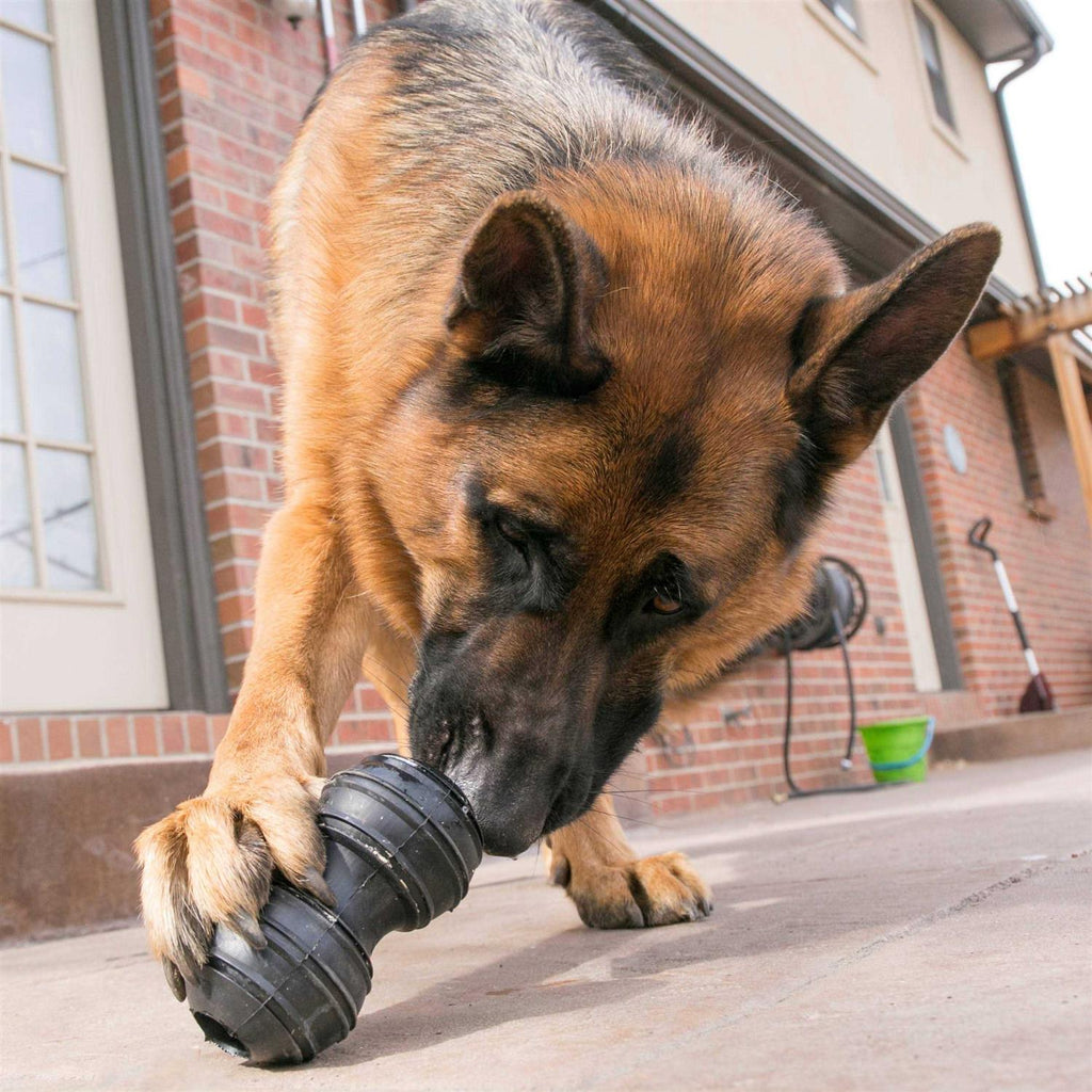Dog Toy D873