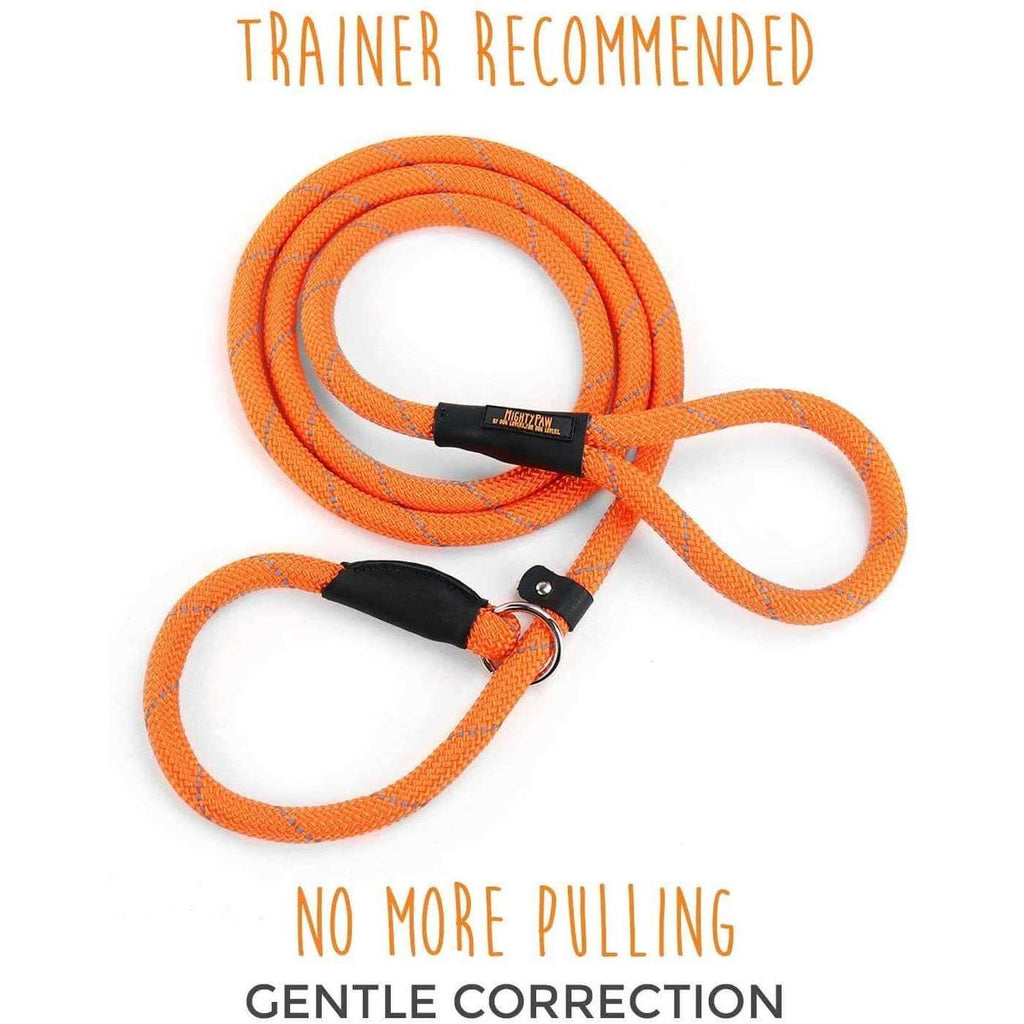 Slip Rope Dog Leash E592169