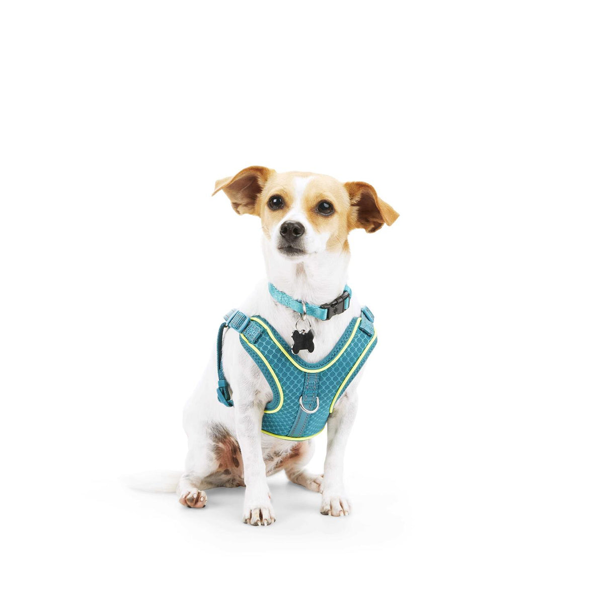 Reflective Dog Harness I3608