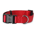Neoprene Padded Dog Collar I77612