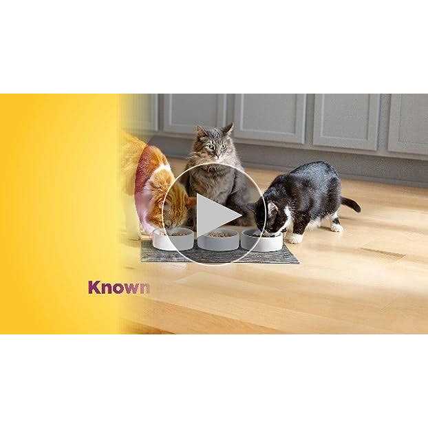 Cat Food T299