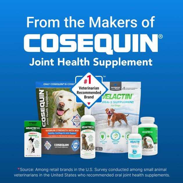 Omega-3 Supplement Dogs P63095