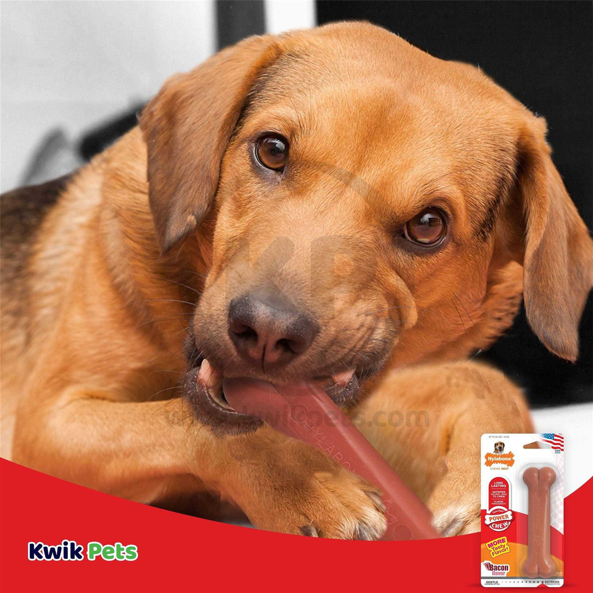 Bacon Chew Bone U9961