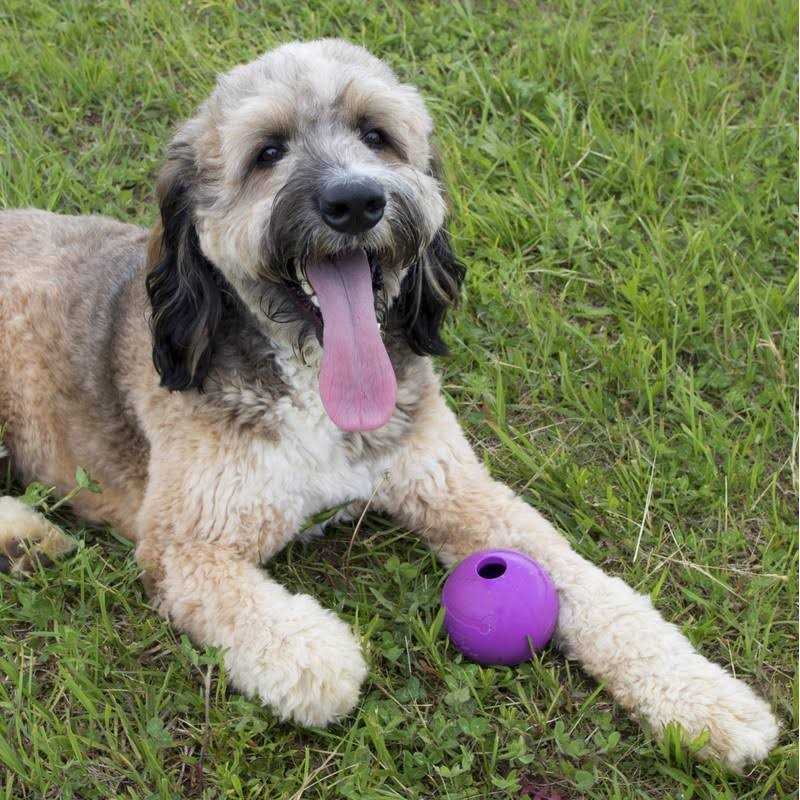 Dog Fetch Balls Natural Rubber Toy 4 inch T16211