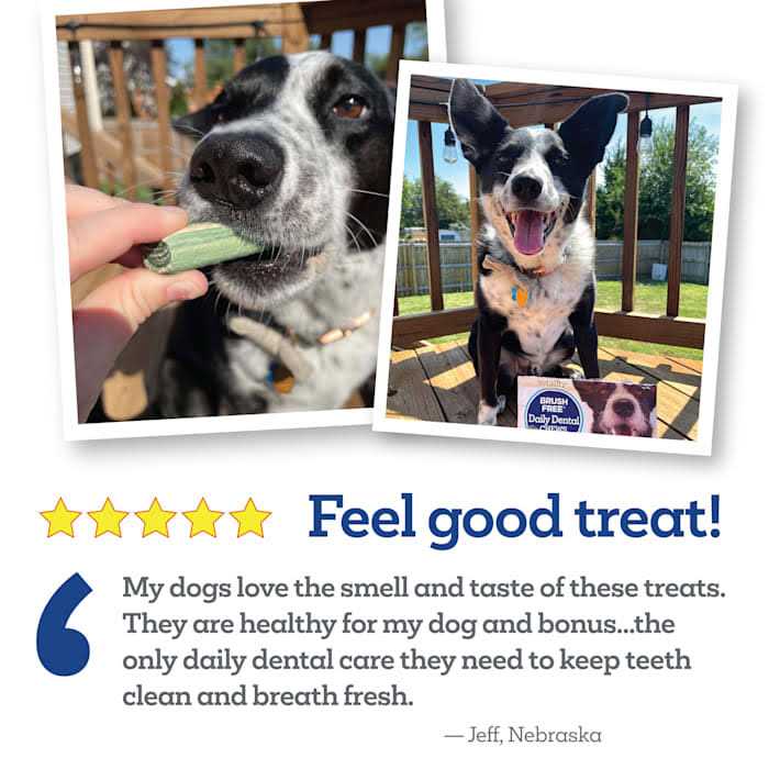 Brush Free Daily Dental Chews for Dogs Y951