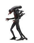 7 inch Action Figure U1827