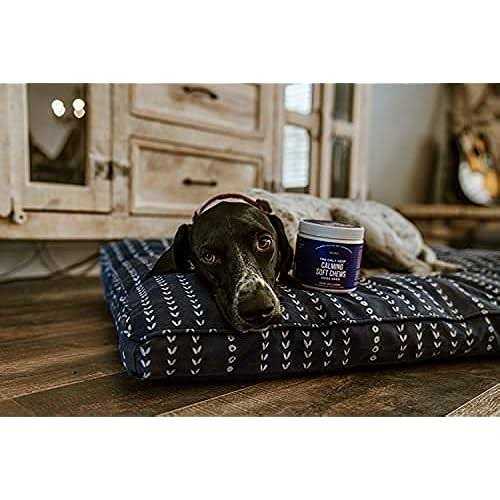 Calming Soft Chews G483303