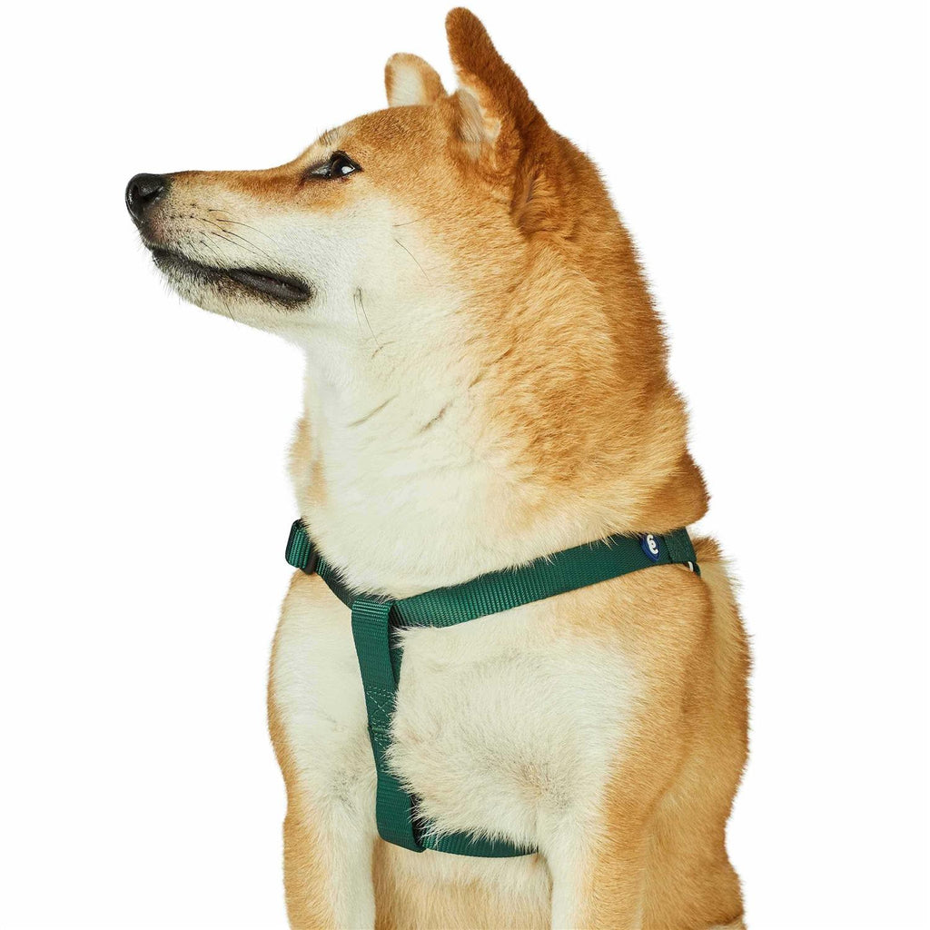 Classic Solid Nylon Step-In Dog Harness B412