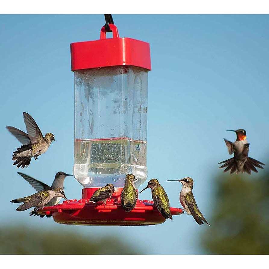 Hummingbird ElectroNectar Kaytee D7100