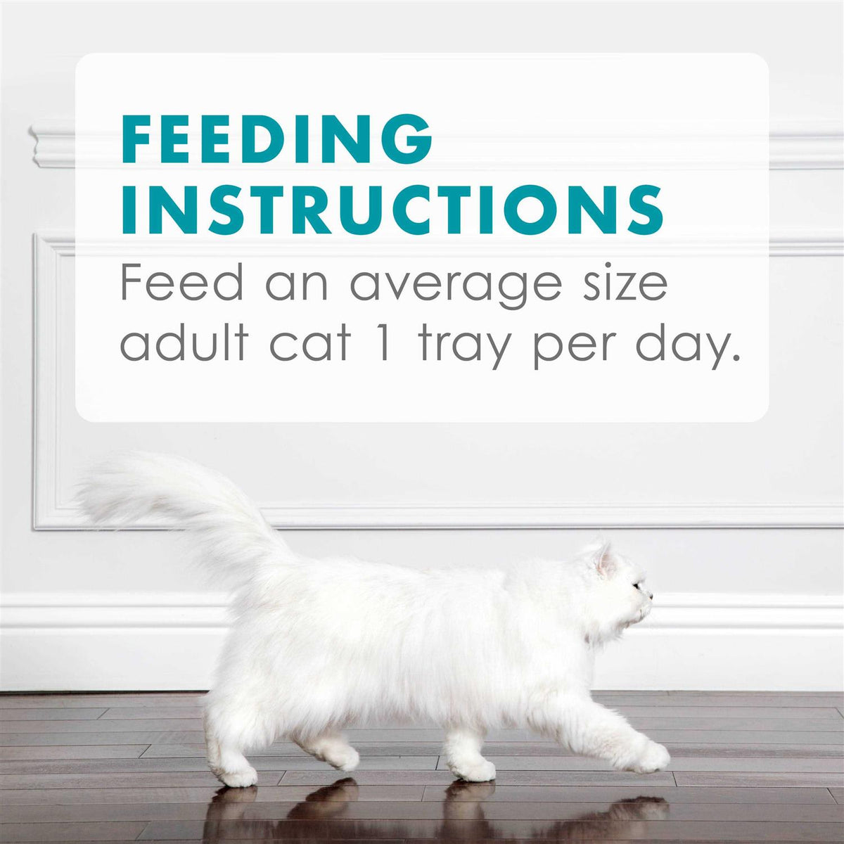 Tuna Wet Cat Food Z14933