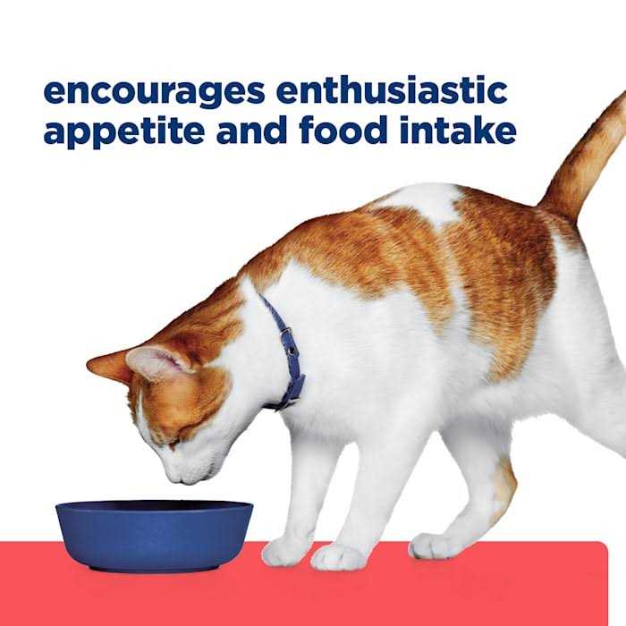 Dry Cat Food P1485