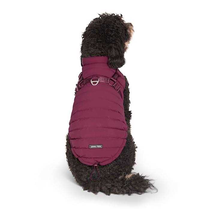 Black Puffer Harness A12736