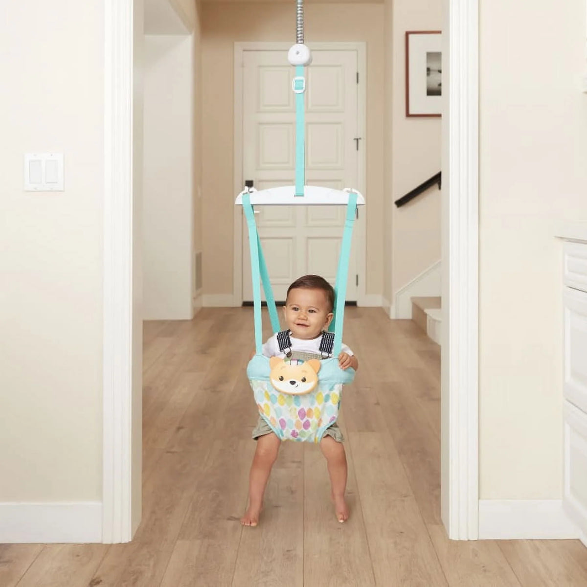 2-in-1 Music & Lights Doorway Jumper Z647615