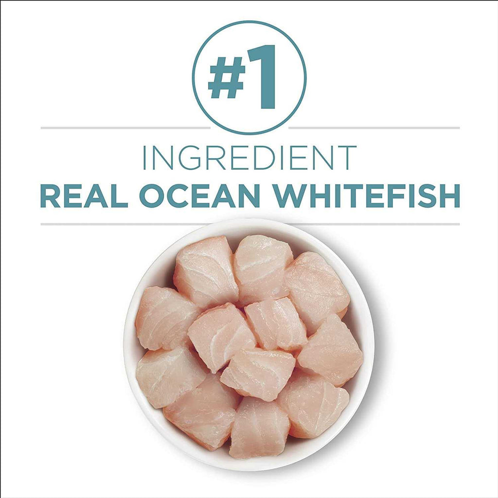 High Protein Whitefish & Rice Wet Cat Food E62106
