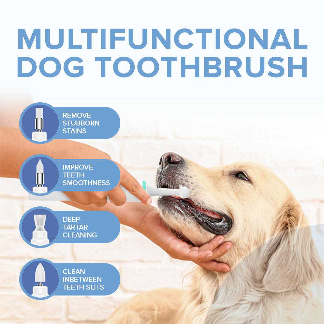 Electric Toothbrush for Dogs with Brush Heads N2833