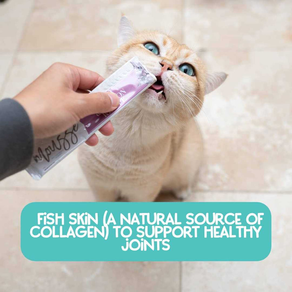 Variety Pack Mousse Cat Treats A96504