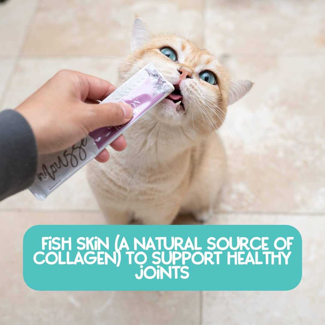 Variety Pack Mousse Cat Treats A96504