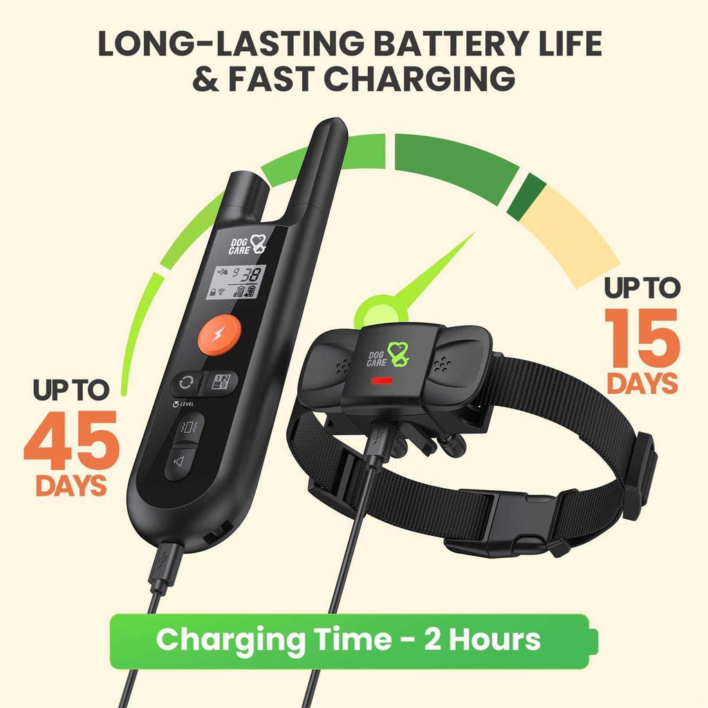 Dog Training Collar with Beep Vibration R552365