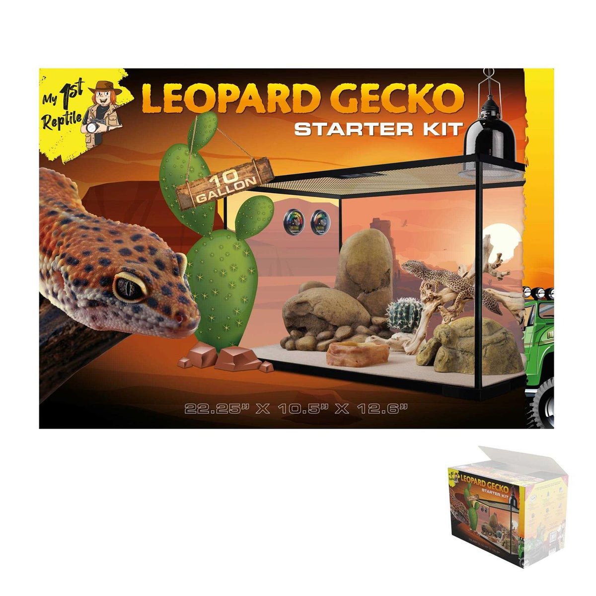 Leopard Gecko Reptile Starter Kit U70780