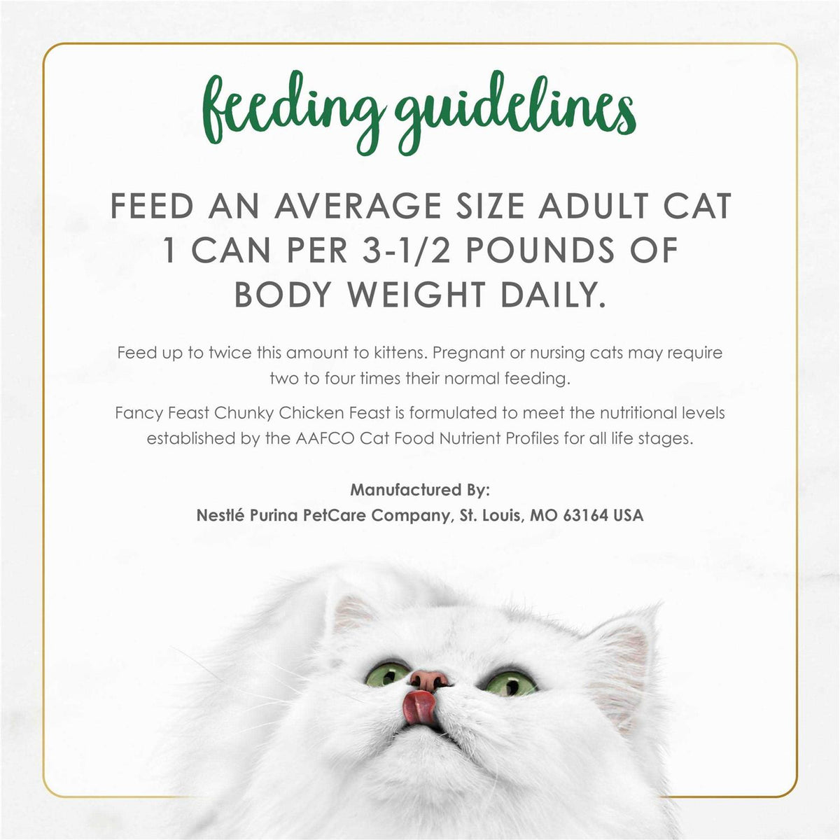 Wet Cat Food L917