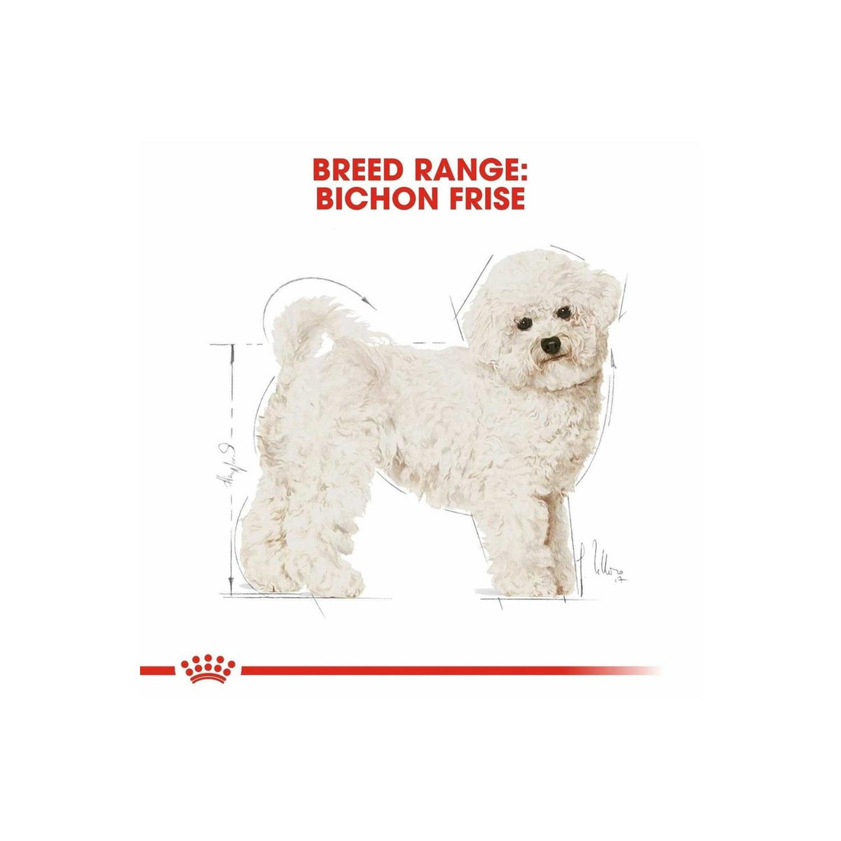 Adult Bichon Frise Dry Dog Food E24536