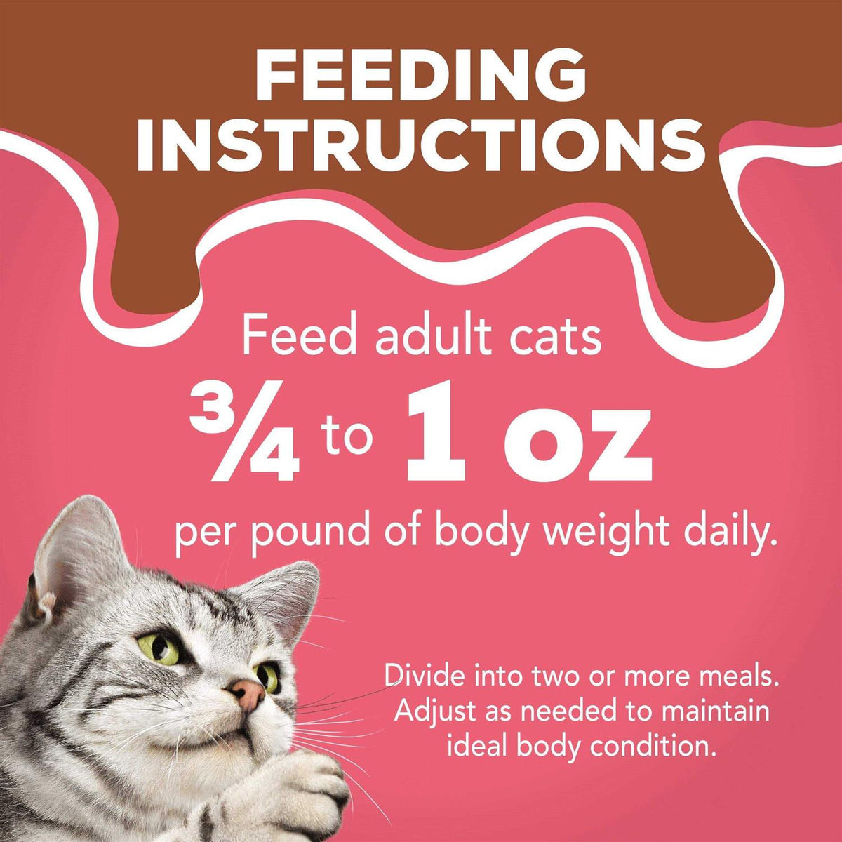Wet Cat Food Gravy F6288