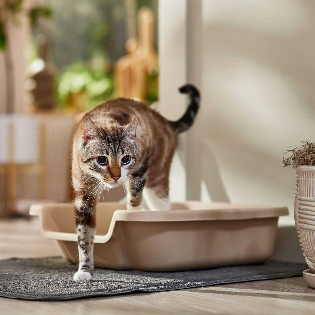 Senior Cat Litter Box C11201