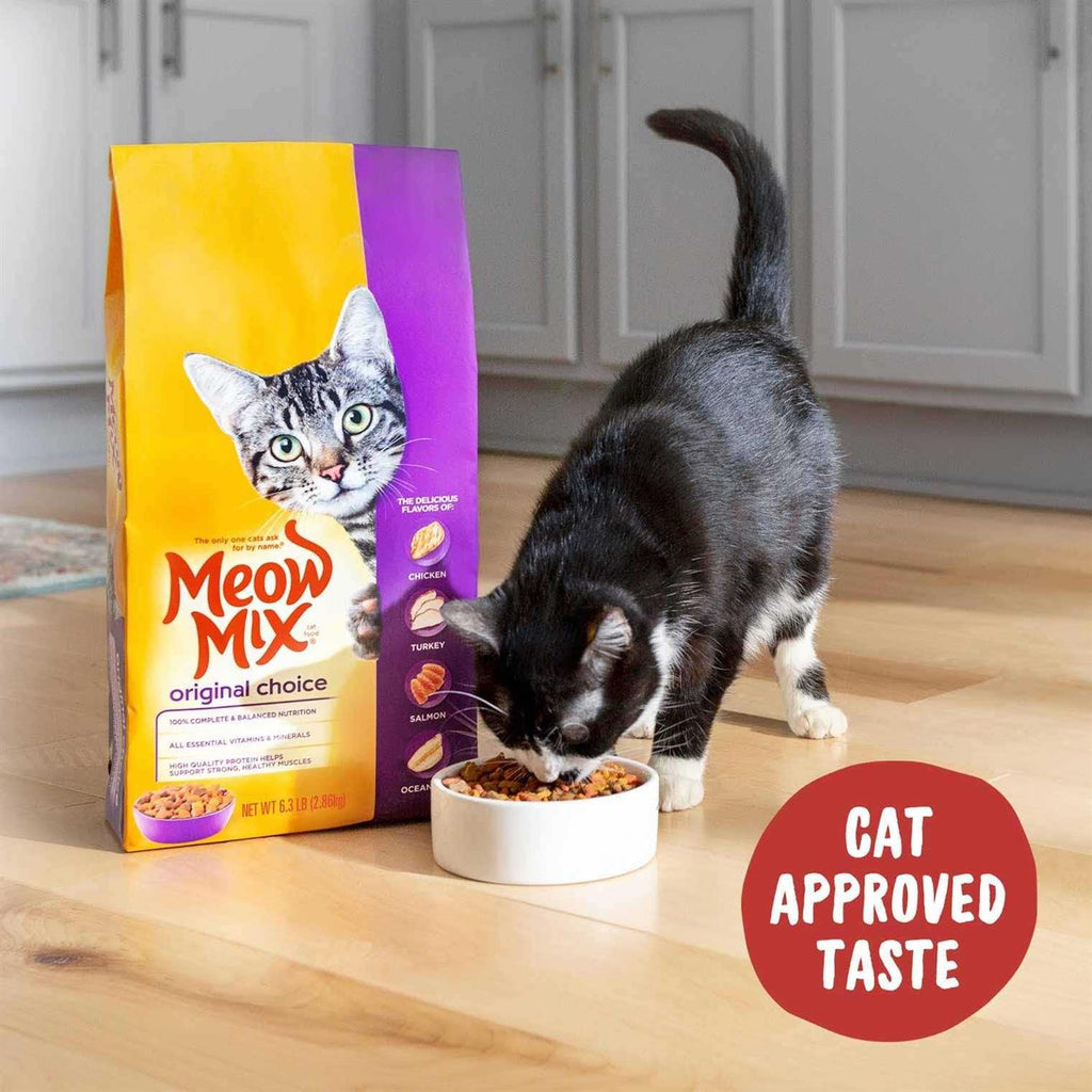 Dry Cat Food G32541