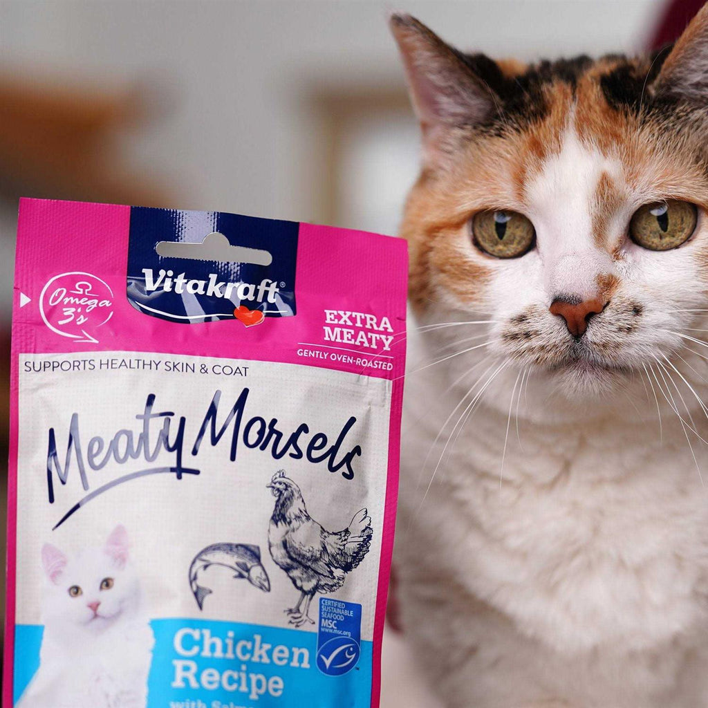 Chicken Salmon Cat Treat W851102