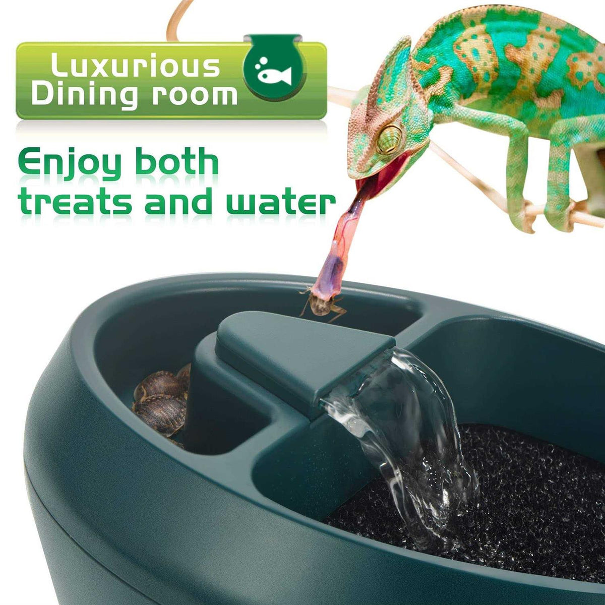 Reptile Drinking Fountain Water Dripper C903458