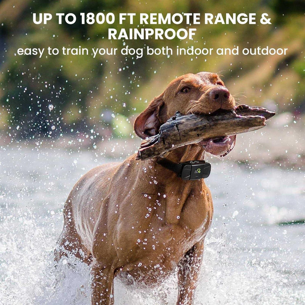 Dog Training Collar with Beep Vibration R552365