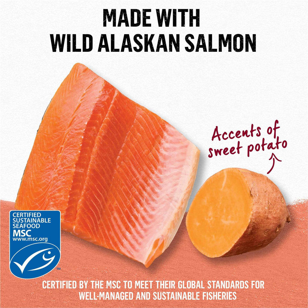 Grain Free Salmon & Sweet Potato Cat Food O58543