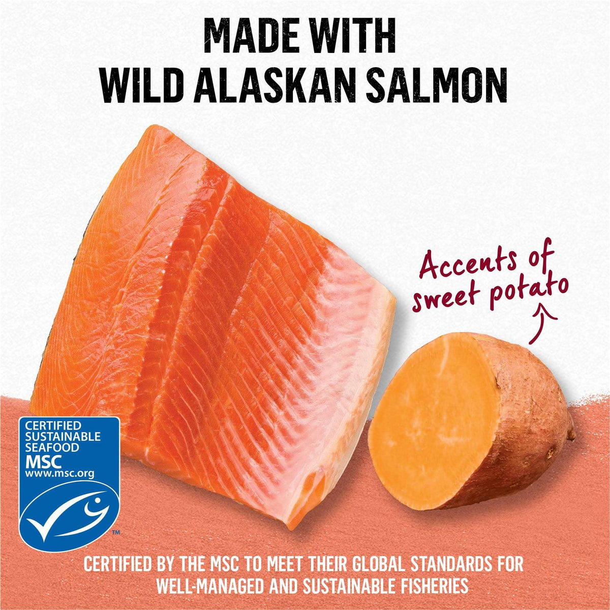 Grain Free Salmon & Sweet Potato Cat Food O58543